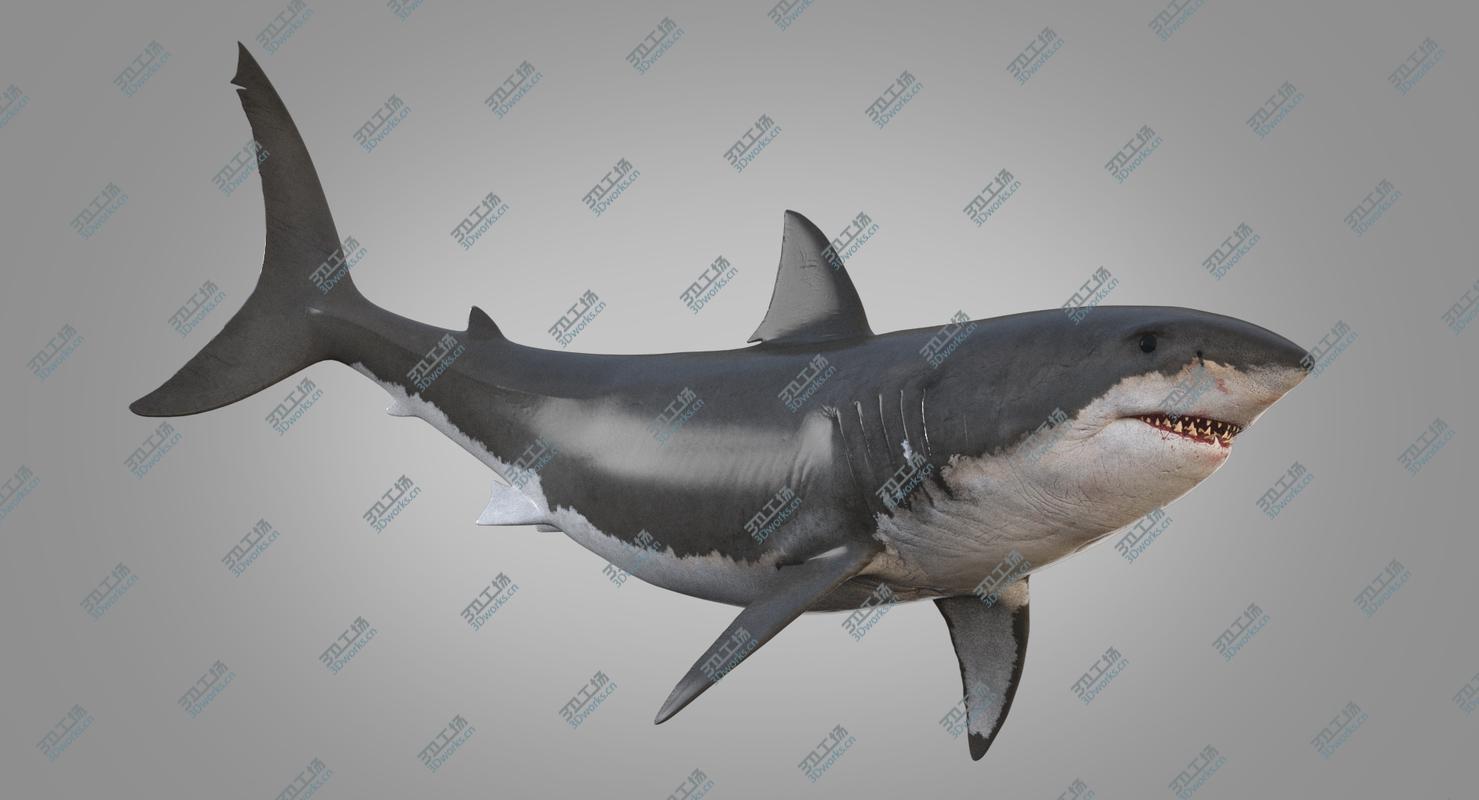 images/goods_img/202105074/3D White Shark Animated/3.jpg